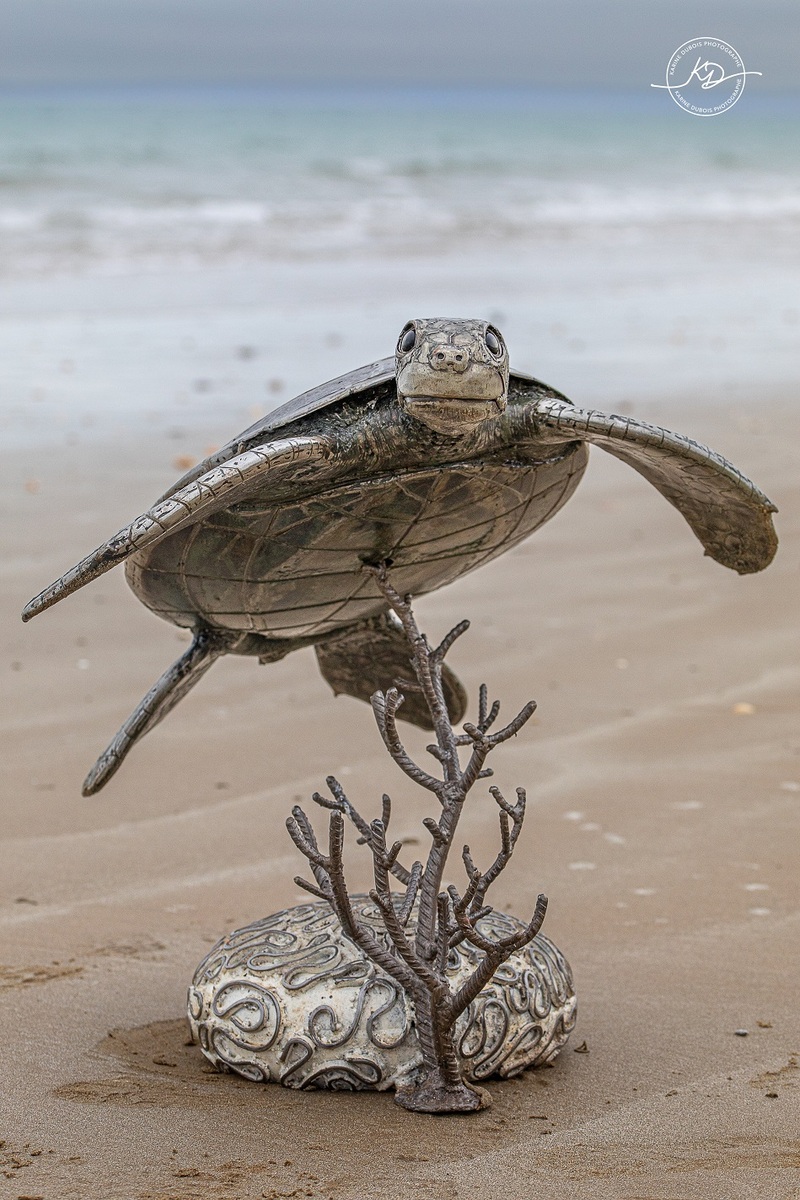 tortuemer-Sylvain Pérouze - Rencontres de sculpture 2026 - La Chapelle de la Verrerie - Fougères